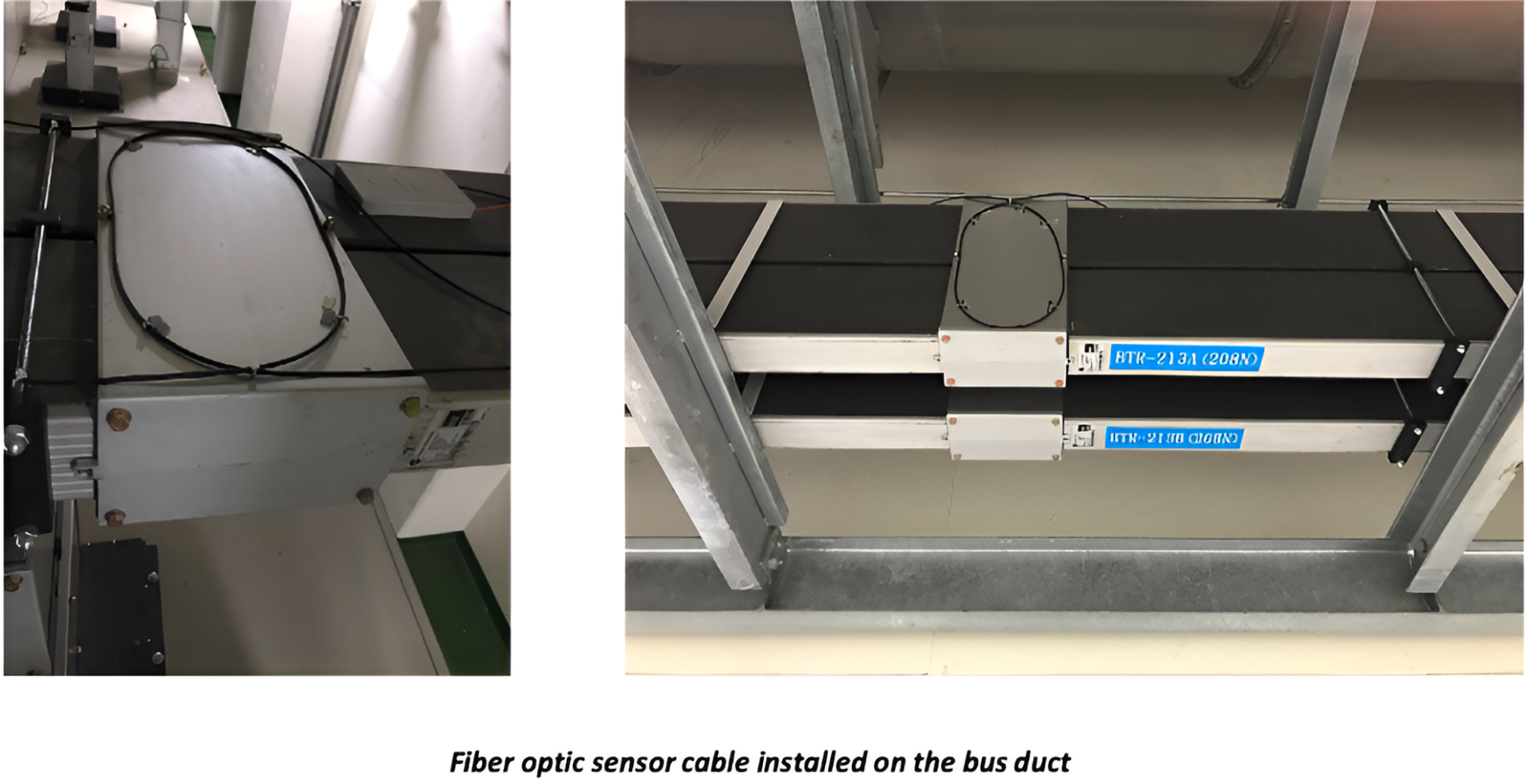 042054310ffc4e238af4851425407b11 (1)